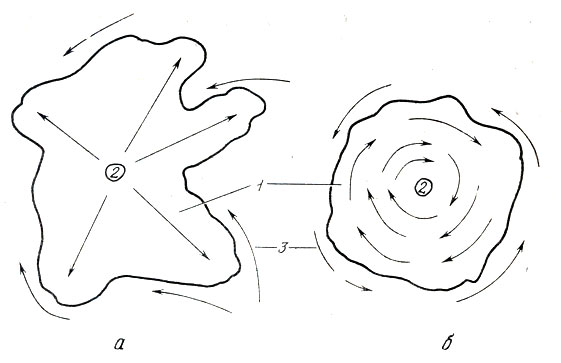 Рис. 7. Линия поиска при циркулярном и меняющемся направлении ветра: а - 'спираль'; б - 'веер'. 1 - направление ветра; 2 - местонахождение проводника; 3 - направление движения собаки