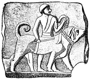 Рис. 1. Терракотовая доска Бирса Нимруда 'Ассирийская боевая собака'