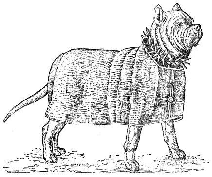 Рис. 2. Римская военная собака (примитивный тип мастифа)